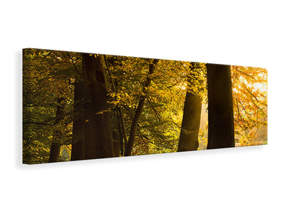 panoramic-canvas-print-autumn-leaves