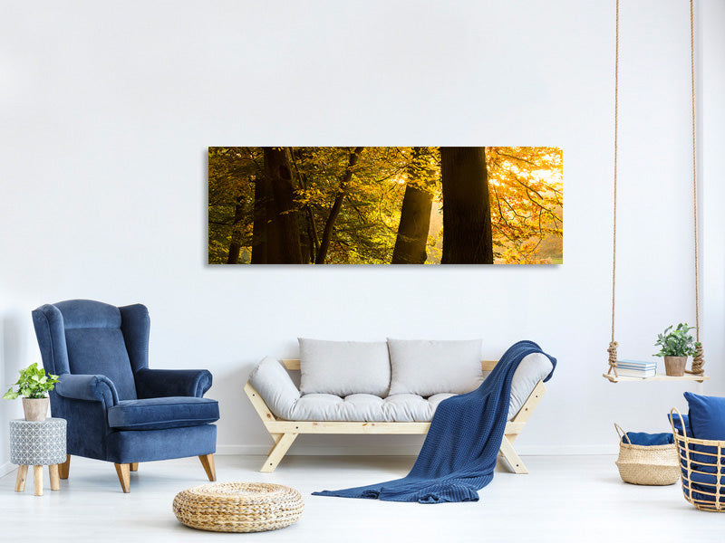 panoramic-canvas-print-autumn-leaves