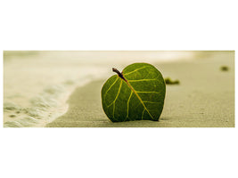 panoramic-canvas-print-beach-leaf