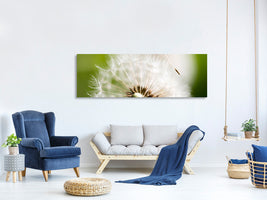 panoramic-canvas-print-blowball-dandelion