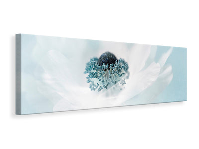panoramic-canvas-print-candy-floss