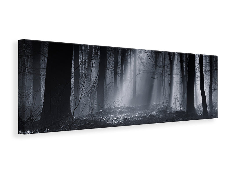 panoramic-canvas-print-capela-forest