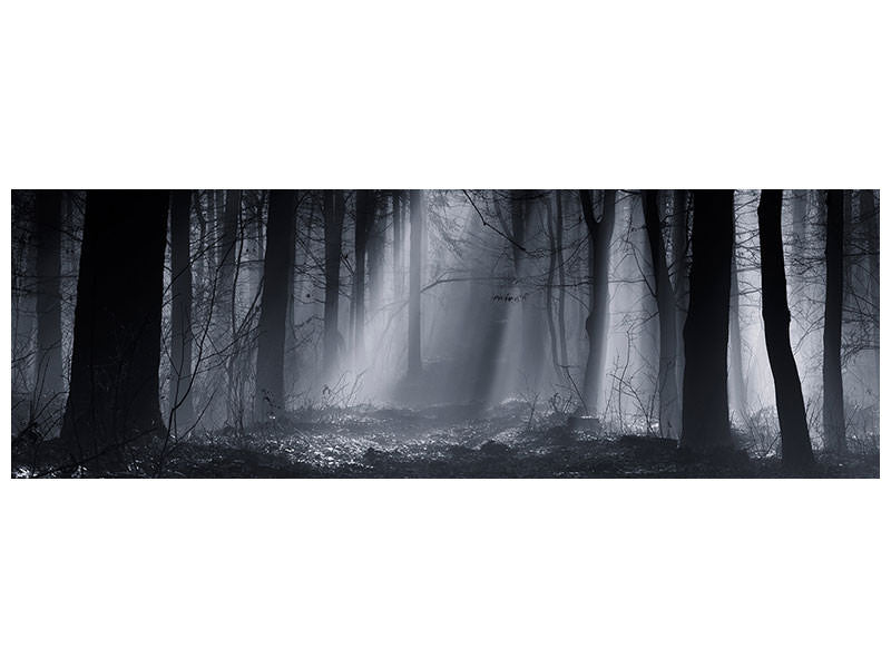 panoramic-canvas-print-capela-forest