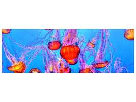 panoramic-canvas-print-colorful-jellyfish