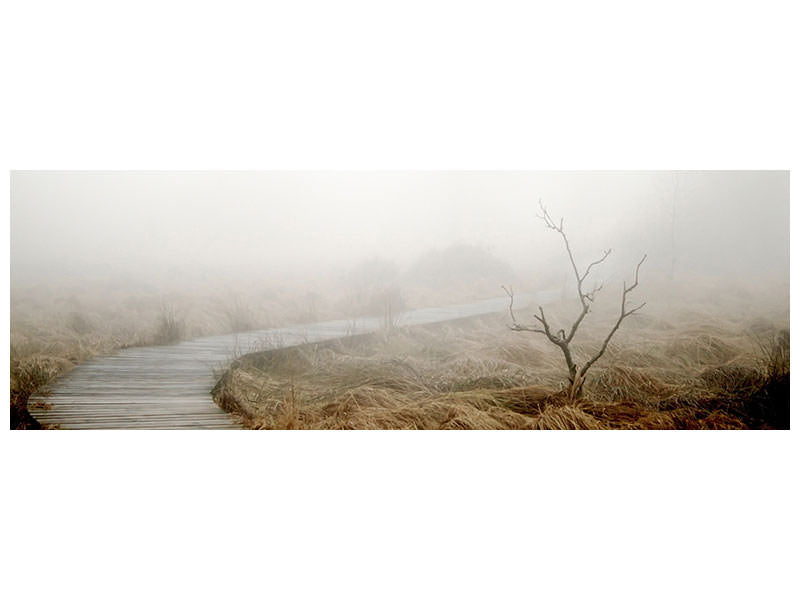 panoramic-canvas-print-dense-fog