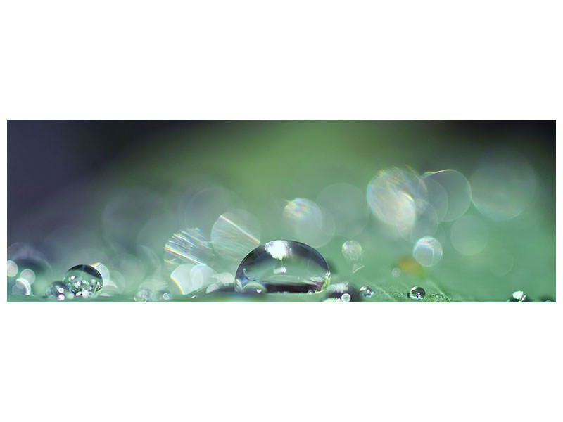 panoramic-canvas-print-drops-of-water-in-xxl