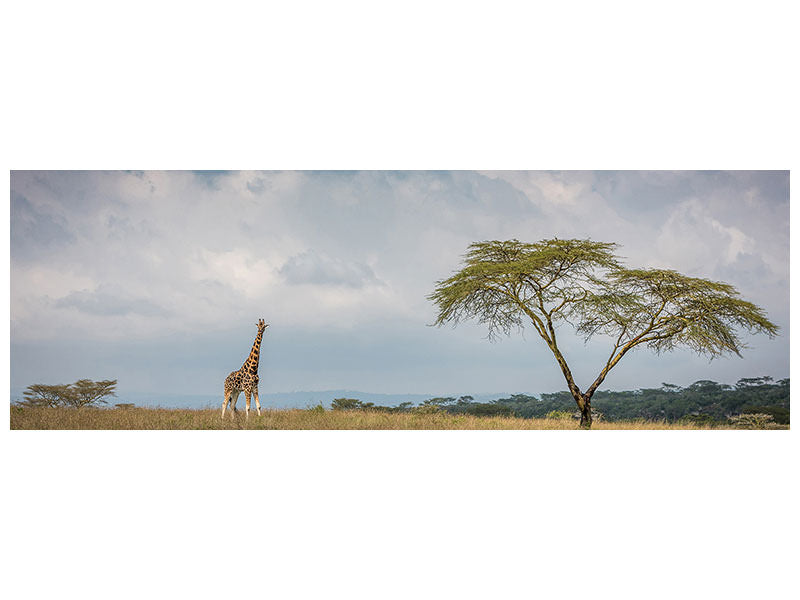 panoramic-canvas-print-east-africa