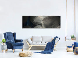 panoramic-canvas-print-eerie-jellyfish