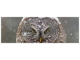 panoramic-canvas-print-great-grey-owl-winter-portrait