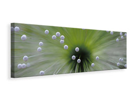 panoramic-canvas-print-green-and-white-ii