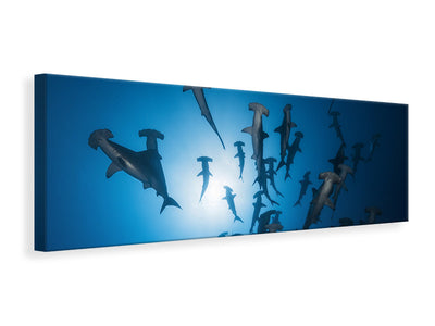 panoramic-canvas-print-hammerhead-shark-underwater-photography