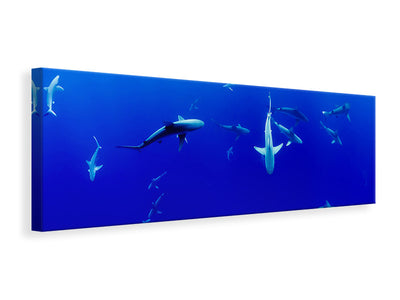 panoramic-canvas-print-in-the-shark-tank