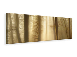 panoramic-canvas-print-into-the-trees