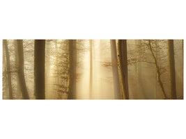 panoramic-canvas-print-into-the-trees