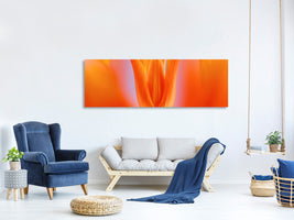 panoramic-canvas-print-kensaki-tulip