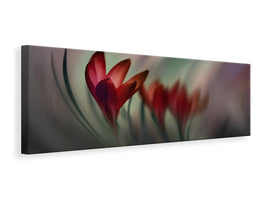 panoramic-canvas-print-krokus