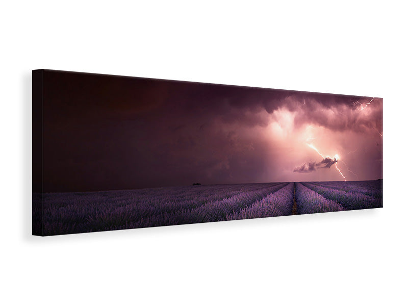 panoramic-canvas-print-lavender-fragrance