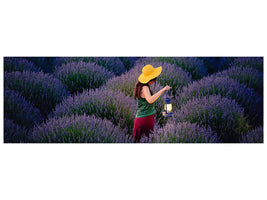 panoramic-canvas-print-lavender