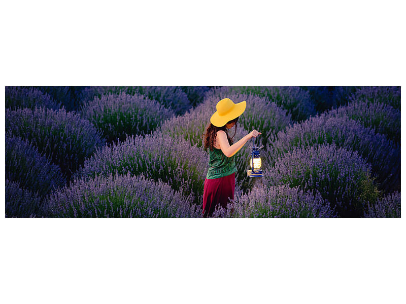 panoramic-canvas-print-lavender