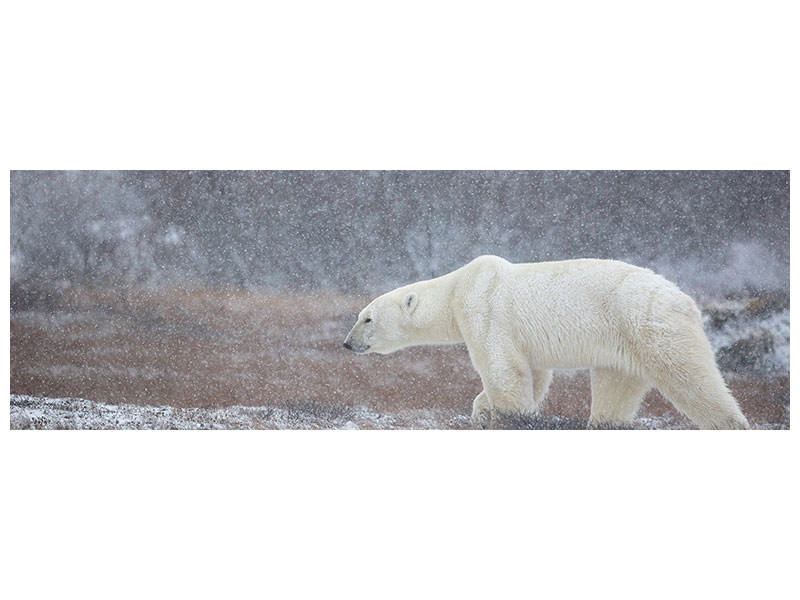 panoramic-canvas-print-let-it-snow-a