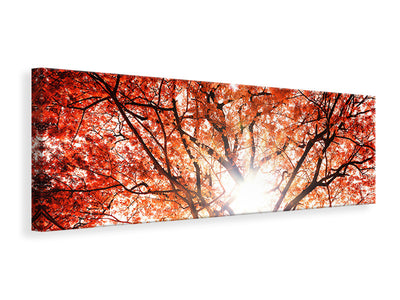 panoramic-canvas-print-light-of-autumn