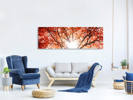 panoramic-canvas-print-light-of-autumn