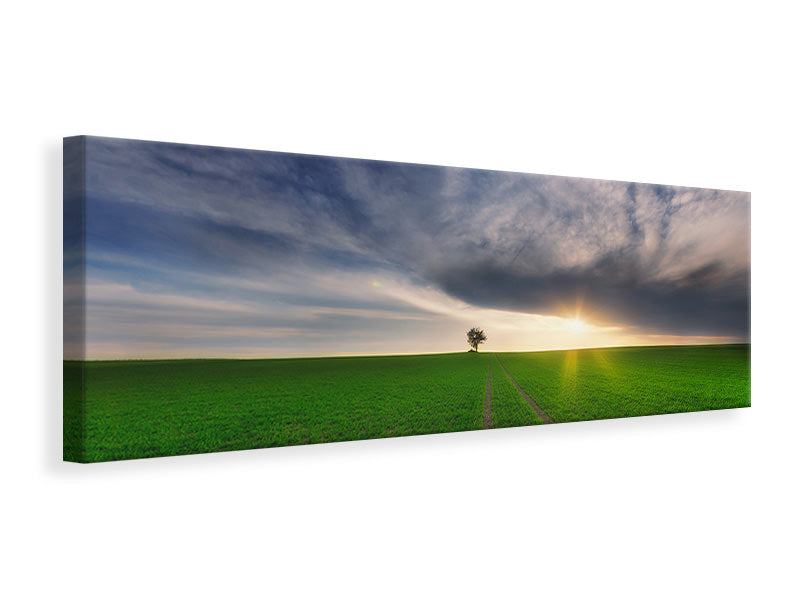 panoramic-canvas-print-loner-in-the-sun