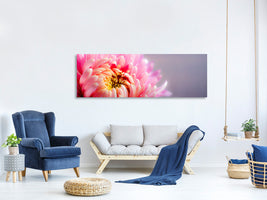 panoramic-canvas-print-macro-chrysanthemum
