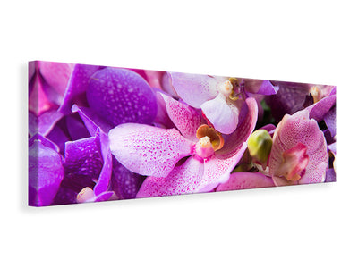 panoramic-canvas-print-orchid-paradise