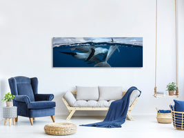 panoramic-canvas-print-pod-of-dolphin-at-the-surface