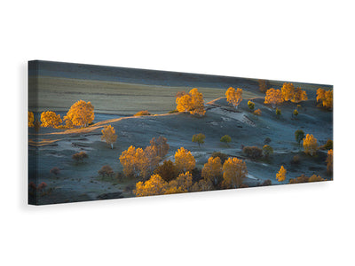 panoramic-canvas-print-prairie-light