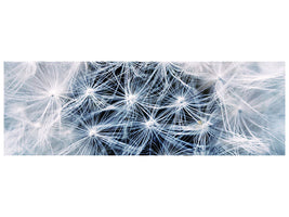 panoramic-canvas-print-ripe-dandelion-close-up