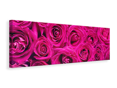panoramic-canvas-print-rose-petals-in-pink