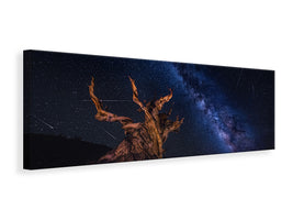 panoramic-canvas-print-shooting-stars-night