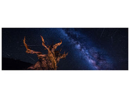 panoramic-canvas-print-shooting-stars-night