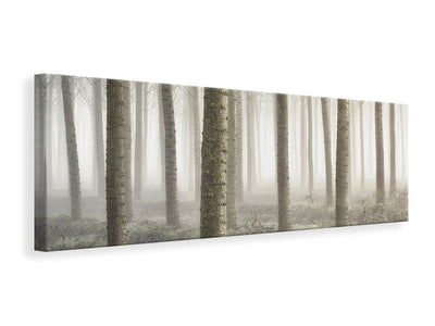 panoramic-canvas-print-small-woodland