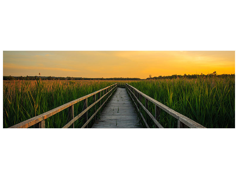 panoramic-canvas-print-sunset-in-the-fields