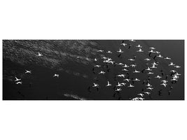 panoramic-canvas-print-take-off