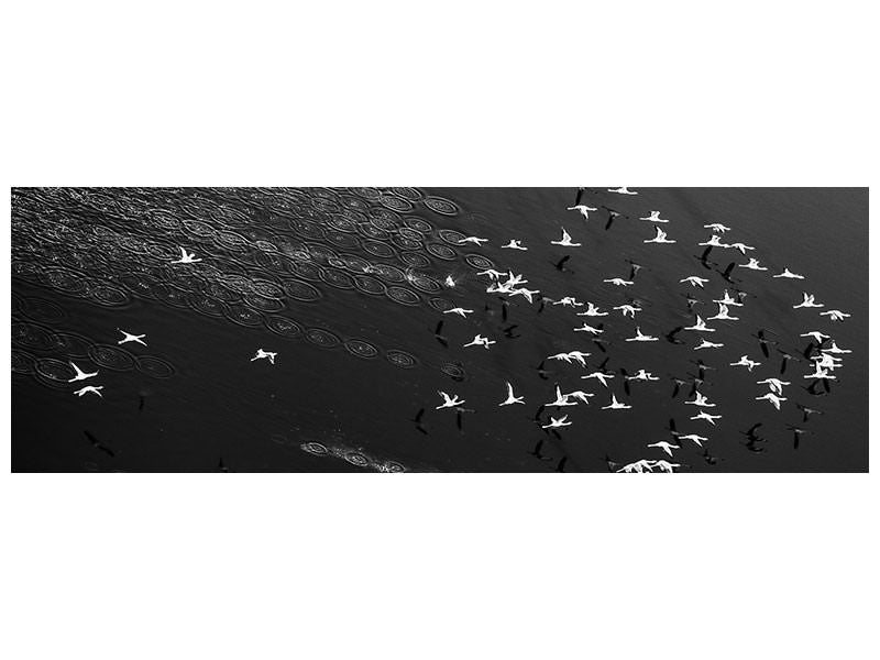 panoramic-canvas-print-take-off