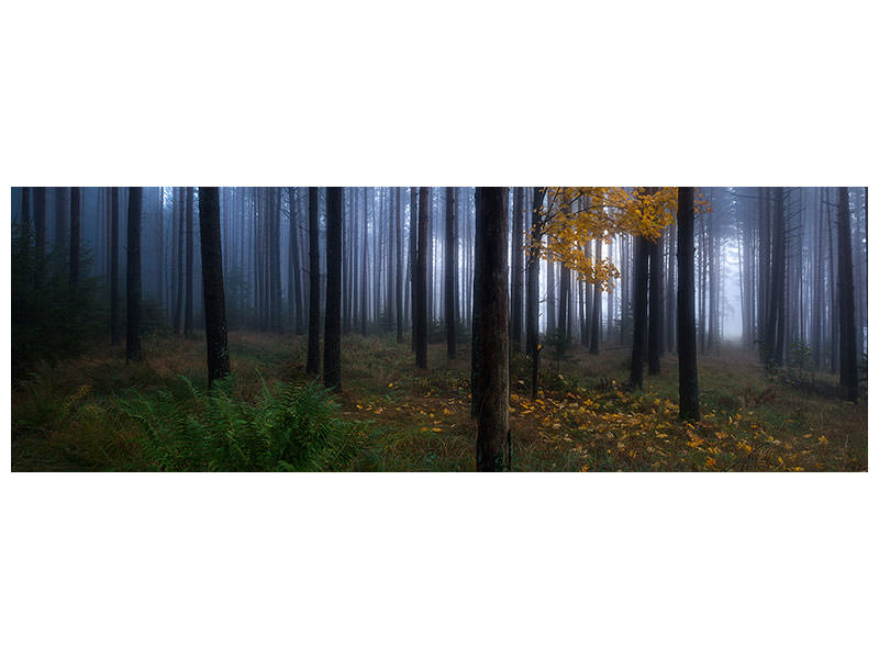 panoramic-canvas-print-the-dark-light