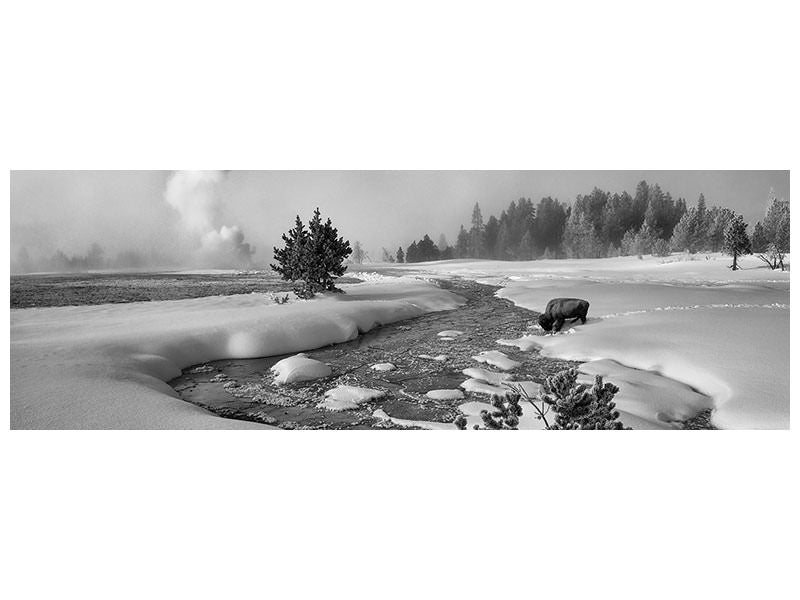 panoramic-canvas-print-the-hardship-of-winter
