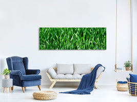 panoramic-canvas-print-the-meadow-in-xl