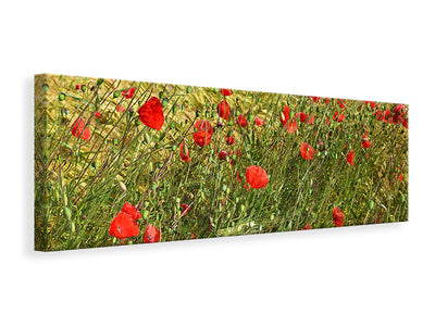 panoramic-canvas-print-the-poppy-in-the-wind