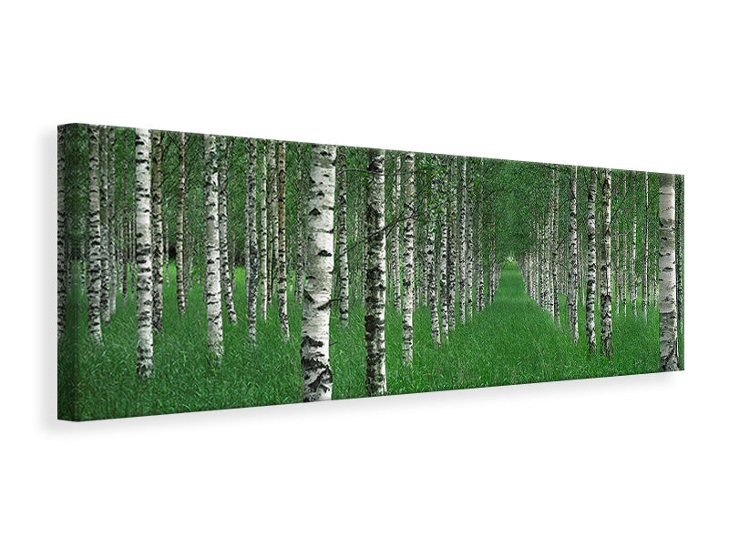 panoramic-canvas-print-the-tunnel