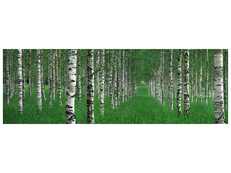 panoramic-canvas-print-the-tunnel