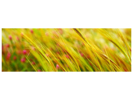 panoramic-canvas-print-the-wheat-field