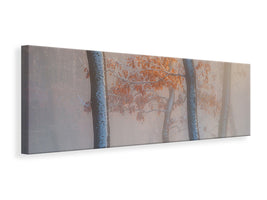 panoramic-canvas-print-thin-air