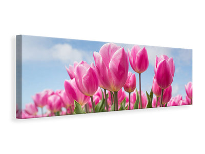 panoramic-canvas-print-tulip-field-in-pink