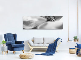 panoramic-canvas-print-untitled-xv