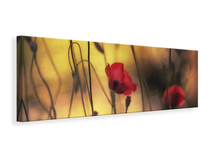 panoramic-canvas-print-untitled-xvi-p